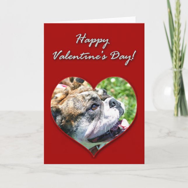 Carte anglaise de jour de Valentines de bouledogue (Devant)