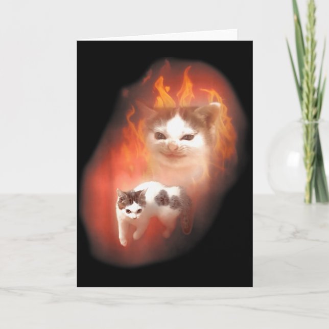 Carte Angry Cat Meme Funny Silly Cat Kitten Lover Humor  (Devant)