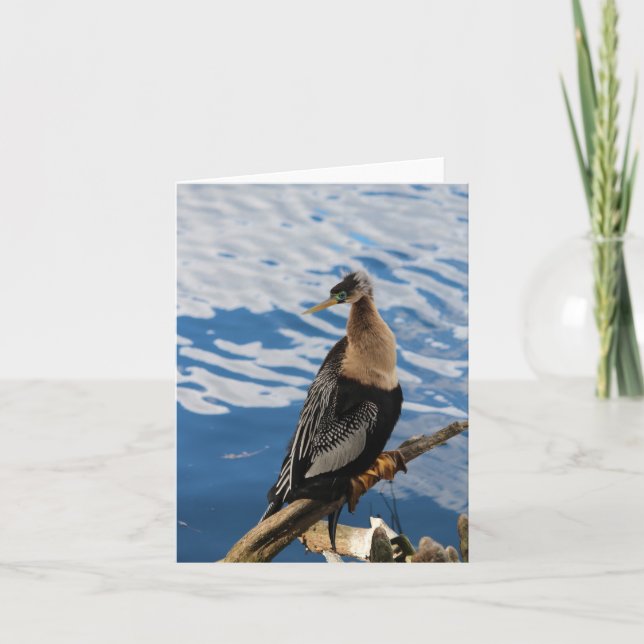 Carte Anhinga Bird Photo Blair Note Card (Devant)