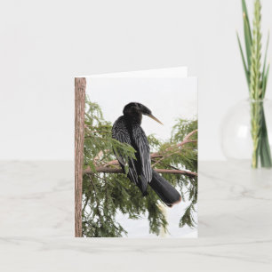 Carte Anhinga photo pliée Note