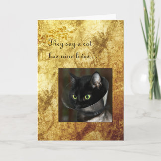 Carte Animal de compagnie se tirer bien avec le chat noi