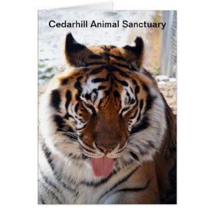 Carte animale de sanctuaire de Cedarhill