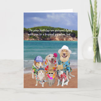 Carte Animaux amusants Paradis tropical Anniversaire