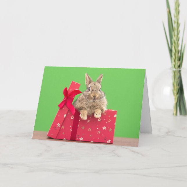 Carte Animaux Bébés les Plus Mignons | Lapin de Noël (Devant)
