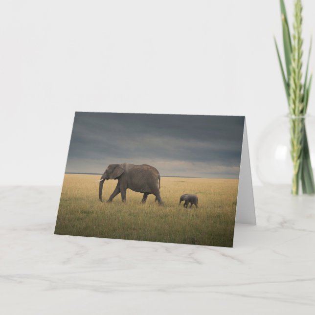 Carte Animaux de bébés cutest | African Elephant Family (Devant)