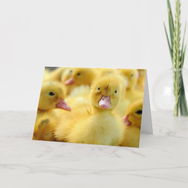 Carte Animaux de bébés cutest | Baby Duck Group (Devant)