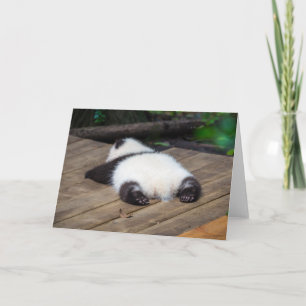 Carte Animaux de bébés cutest   Bébé Géant Panda Dormir