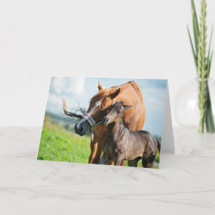 Carte Animaux de bébés cutest Black Foy avec maman