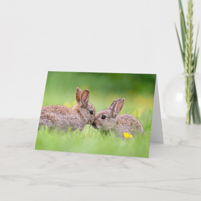 Carte Animaux de bébés cutest | Bunny Kiss (Devant)