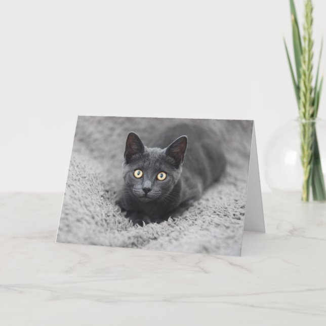 Carte Animaux de bébés cutest | Chat gris (Devant)