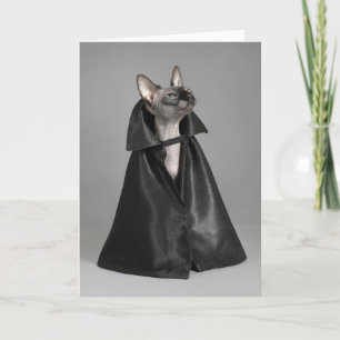 Carte Animaux de bébés cutest Chat sans poil Sphynx