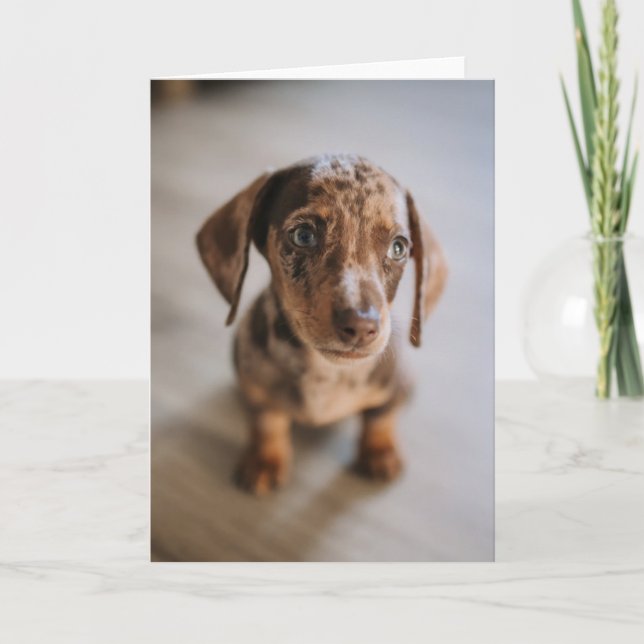 Carte Animaux de bébés cutest | Chiot Brown (Devant)