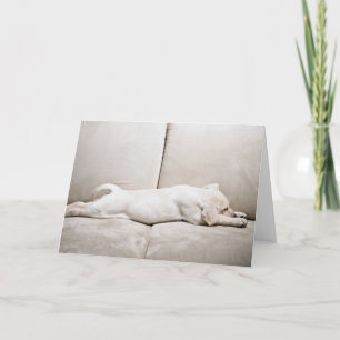 Carte Animaux de bébés cutest Chiot du Labrador jaune
