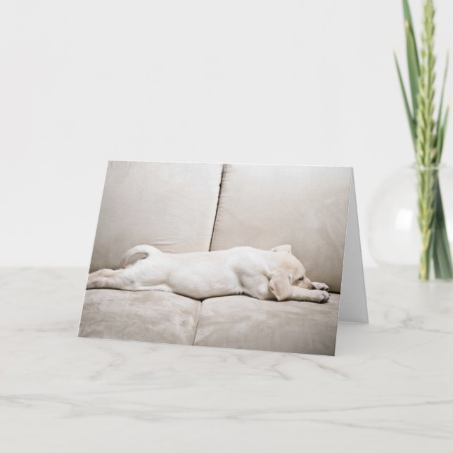 Carte Animaux de bébés cutest | Chiot du Labrador jaune  (Devant)