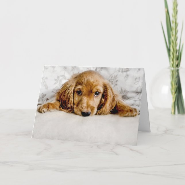Carte Animaux de bébés cutest | Cocker Spaniel (Devant)