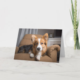 Carte Animaux de bébés cutest   Coiffeuse à cheveux long