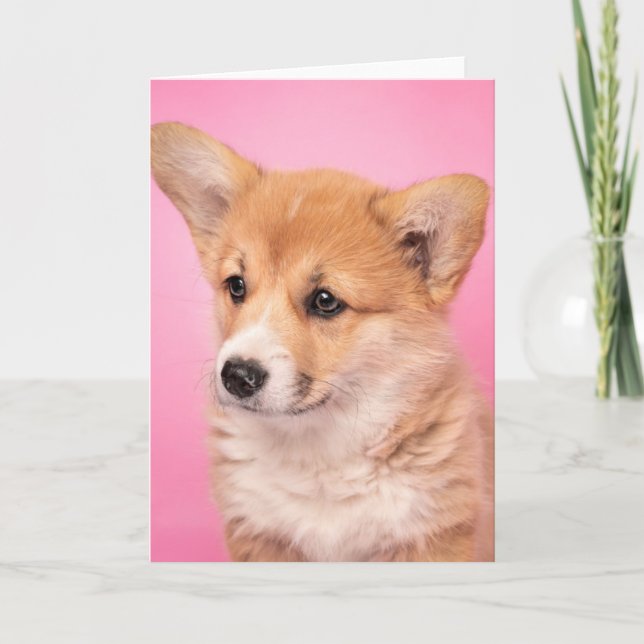 Carte Animaux de bébés cutest | Corgi Chiot rose (Devant)