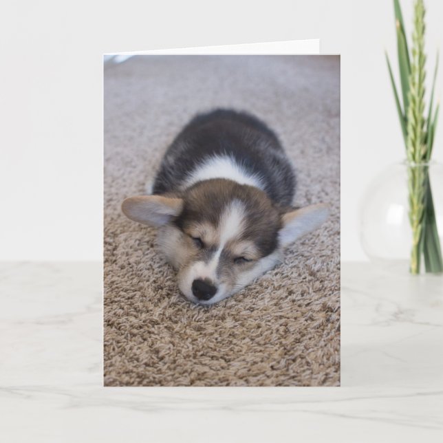 Carte Animaux de bébés cutest | Corgi Chiot sur Shag Rug (Devant)