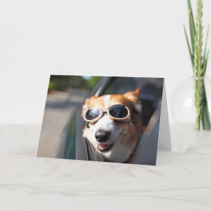 Carte Animaux de bébés cutest   Corgi lunettes dans la v