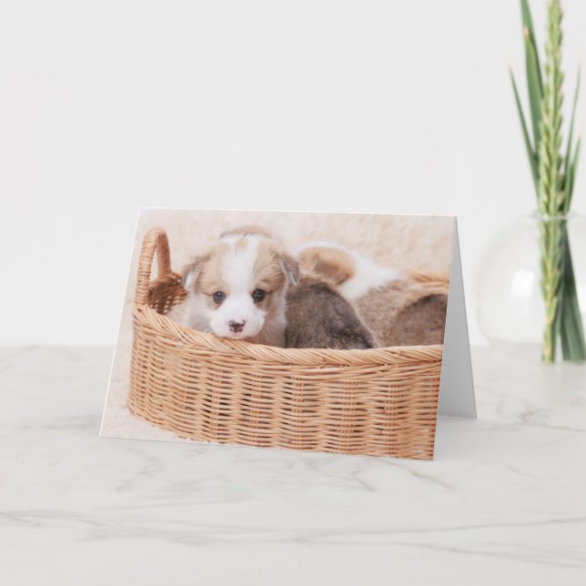 Carte Animaux de bébés cutest | Corgi Miny Puppy (Devant)