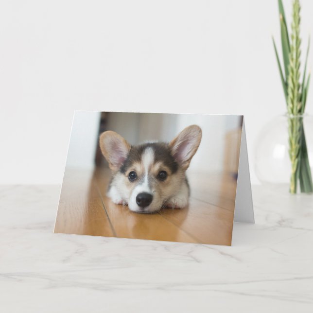 Carte Animaux de bébés cutest | Corgi Puppy (Devant)