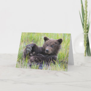 Carte Animaux de bébés cutest Cute Brown Bear Cub Joue