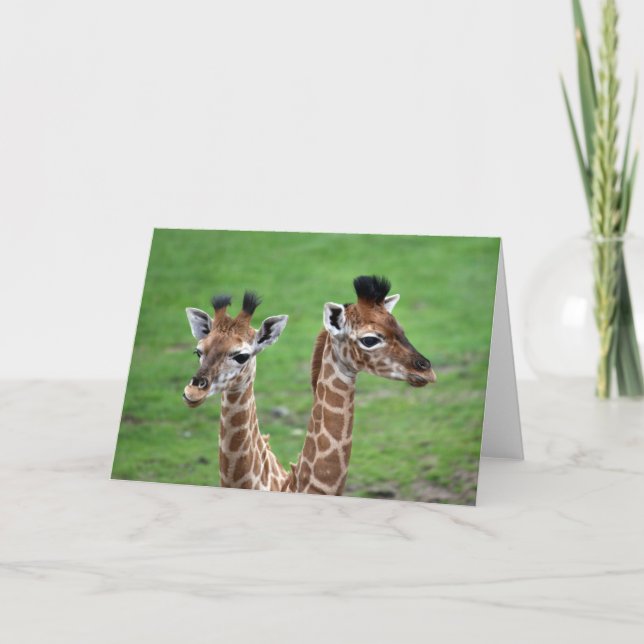 Carte Animaux de bébés cutest | Deux Giraffes pour bébés (Devant)