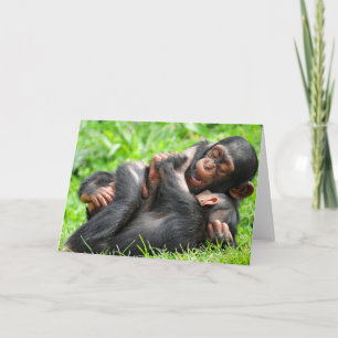 Carte Animaux de bébés cutest   Deux jeunes chimpanzés