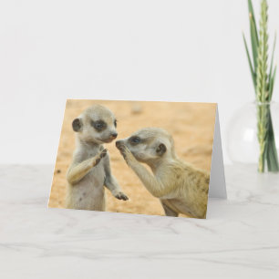 Carte Animaux de bébés cutest   Deux jeunes Meerkats