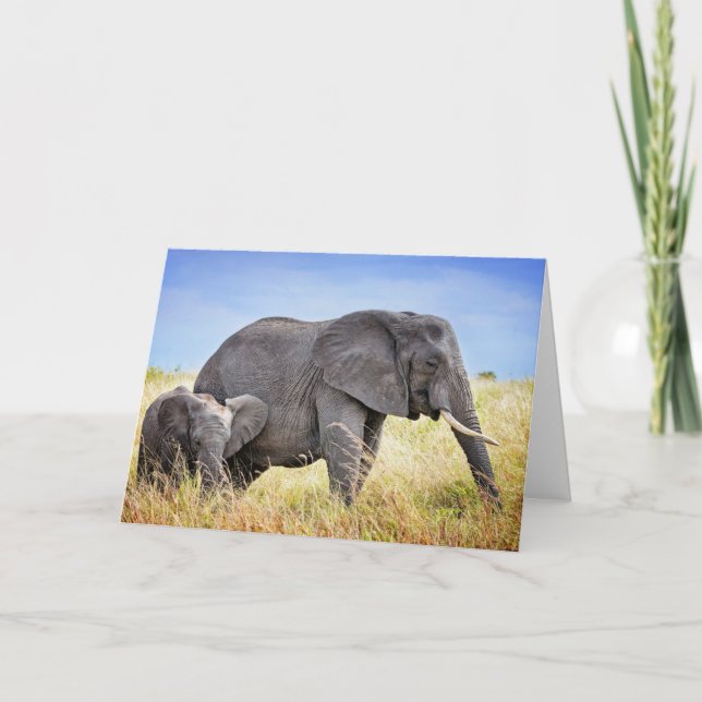 Carte Animaux de bébés cutest | Eléphant africain et mèr (Devant)