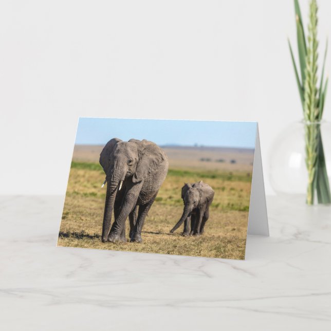 Carte Animaux de bébés cutest | Eléphant mère & bébé (Devant)
