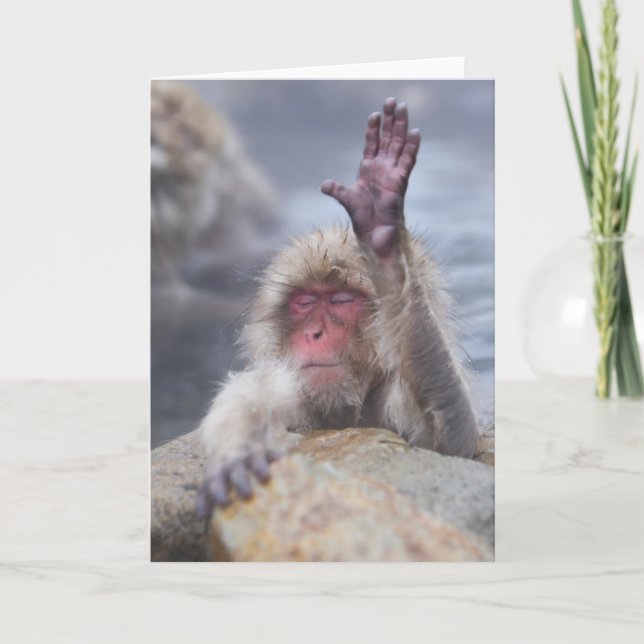 Carte Animaux de bébés cutest | Face de singe de neige (Devant)