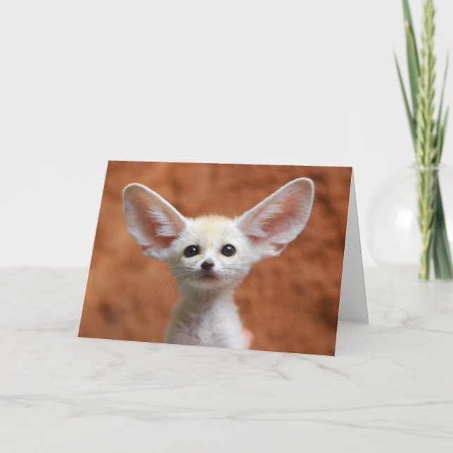 Carte Animaux de bébés cutest | Fennec Fox Pup (Devant)
