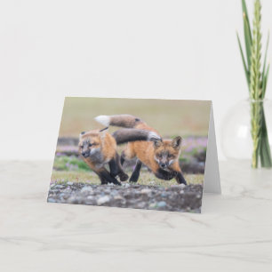 Carte Animaux de bébés cutest   Fox Pups en jeu
