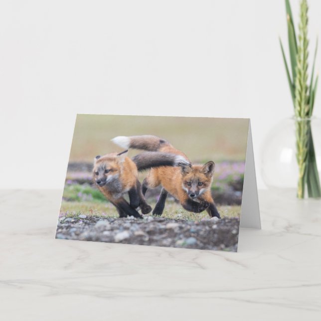 Carte Animaux de bébés cutest | Fox Pups en jeu (Devant)