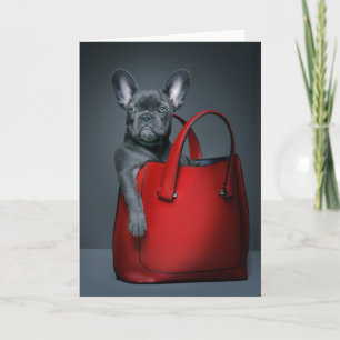 Carte Animaux de bébés cutest   French Bulldog dans le s