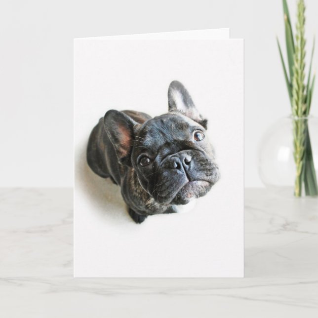 Carte Animaux de bébés cutest | French Bulldog Look Up (Devant)