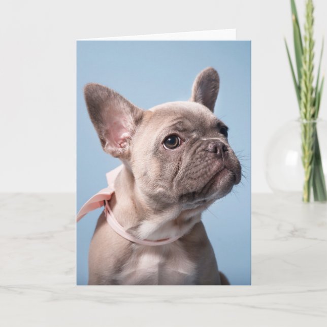 Carte Animaux de bébés cutest | French Bulldog Pink Bow (Devant)