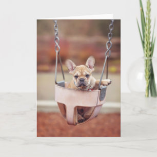 Carte Animaux de bébés cutest French Bulldog Playgroun