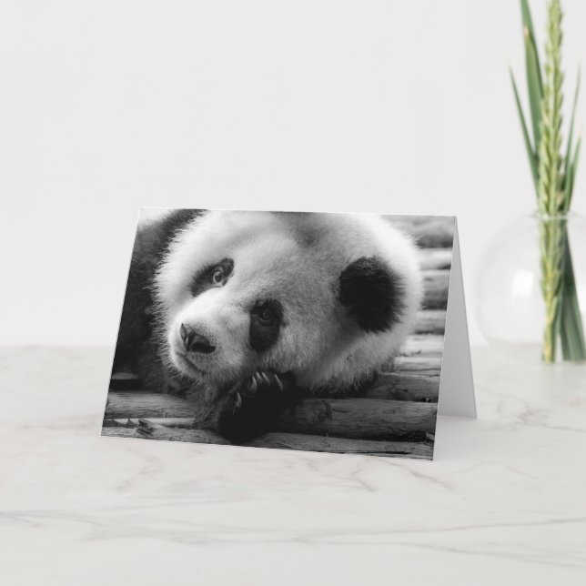 Carte Animaux de bébés cutest | Giant Panda Bear Cub (Devant)