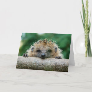 Carte Animaux de bébés cutest Hedgehog Smile