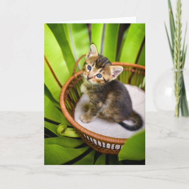 Carte Animaux de bébés cutest | Kitten dans le panier (Devant)