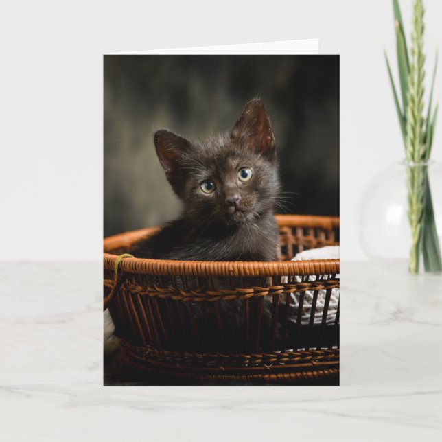 Carte Animaux de bébés cutest | Kitten dans le panier (Devant)