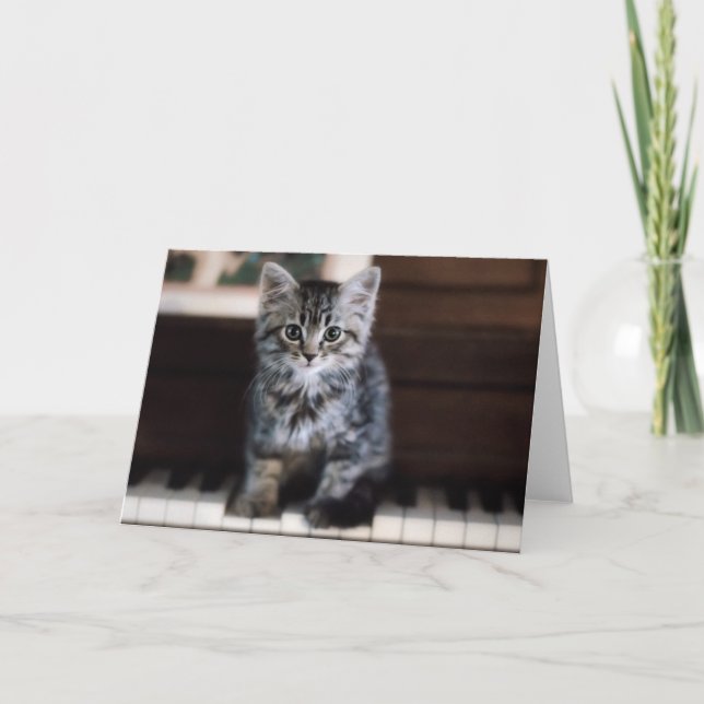 Carte Animaux de bébés cutest | Kitten sur Touches de pi (Devant)