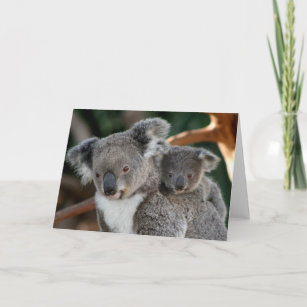 Carte Animaux de bébés cutest   Koala et Joey