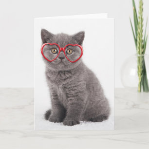 Carte Animaux de bébés cutest   Lunettes cardiaques de c