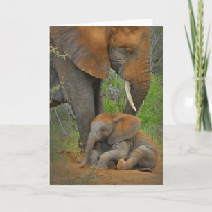 Carte Animaux de bébés cutest   Mama Elephant & Baby