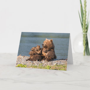 Carte Animaux de bébés cutest   Mère Ours & Cubs
