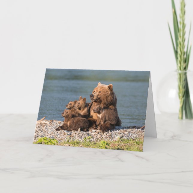 Carte Animaux de bébés cutest | Mère Ours & Cubs (Devant)