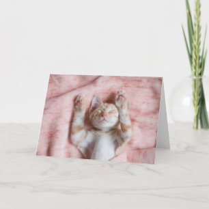 Carte Animaux de bébés cutest   Minuscule chaton rayé or
